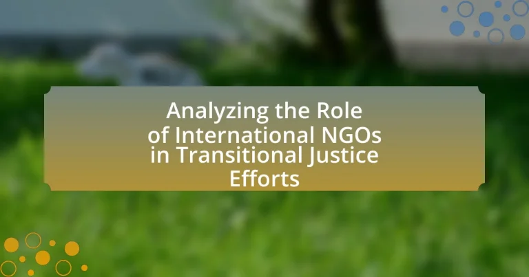 Analyzing the Role of International NGOs in Transitional Justice Efforts