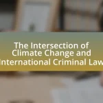 The Intersection of Climate Change and International Criminal Law