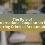 The Role of International Cooperation in Enforcing Criminal Accountability