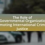 The Role of Non-Governmental Organizations in Promoting International Criminal Justice