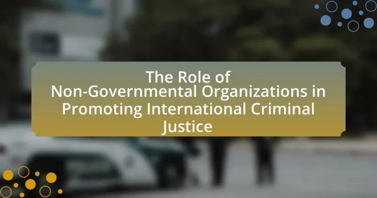 The Role of Non-Governmental Organizations in Promoting International Criminal Justice