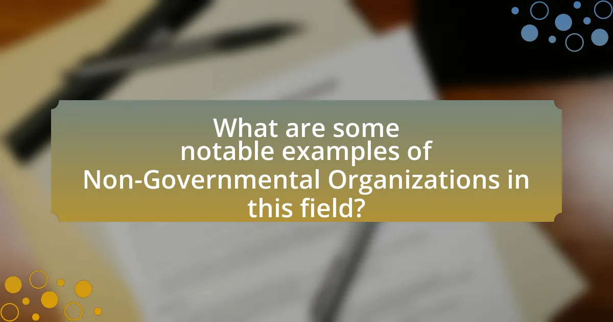 What are some notable examples of Non-Governmental Organizations in this field?