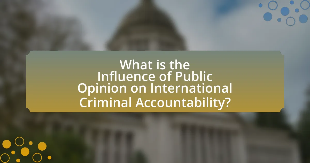 What is the Influence of Public Opinion on International Criminal Accountability?