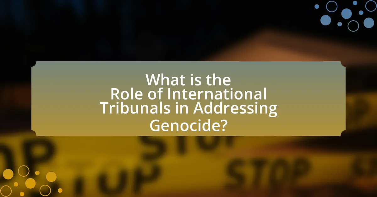 What is the Role of International Tribunals in Addressing Genocide?