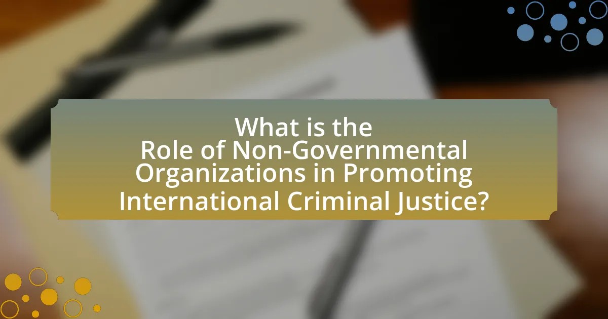 What is the Role of Non-Governmental Organizations in Promoting International Criminal Justice?