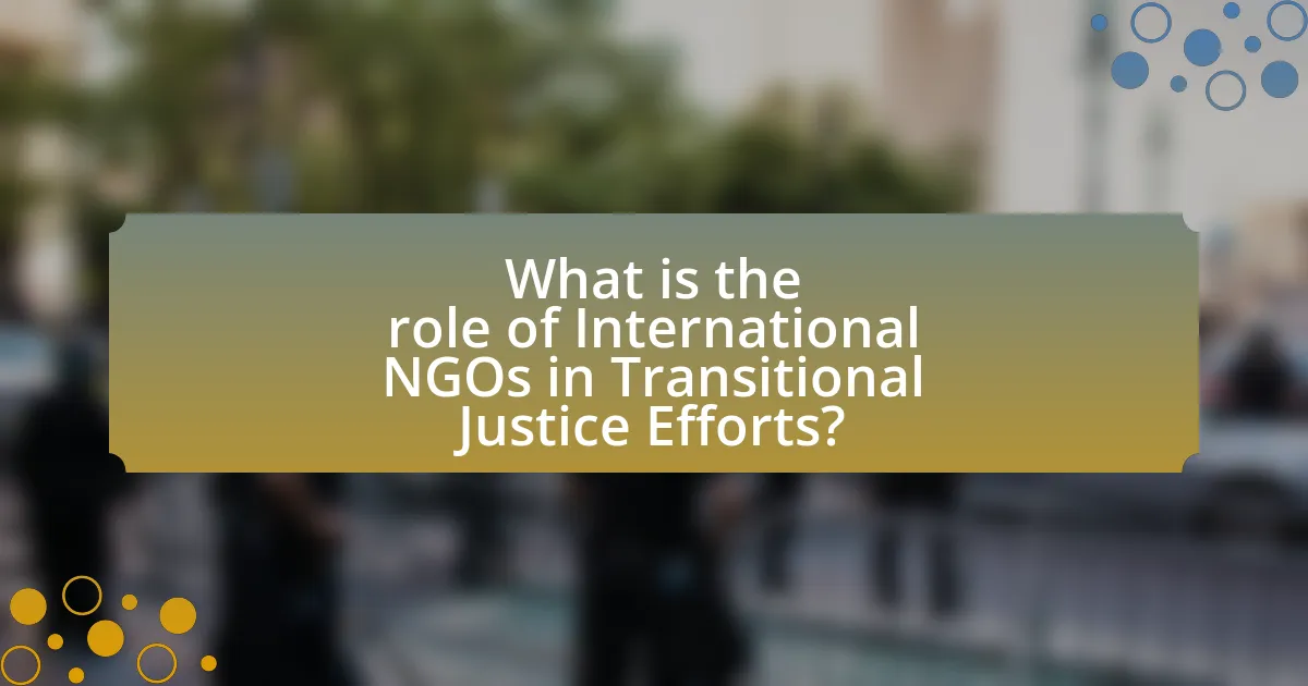 What is the role of International NGOs in Transitional Justice Efforts?