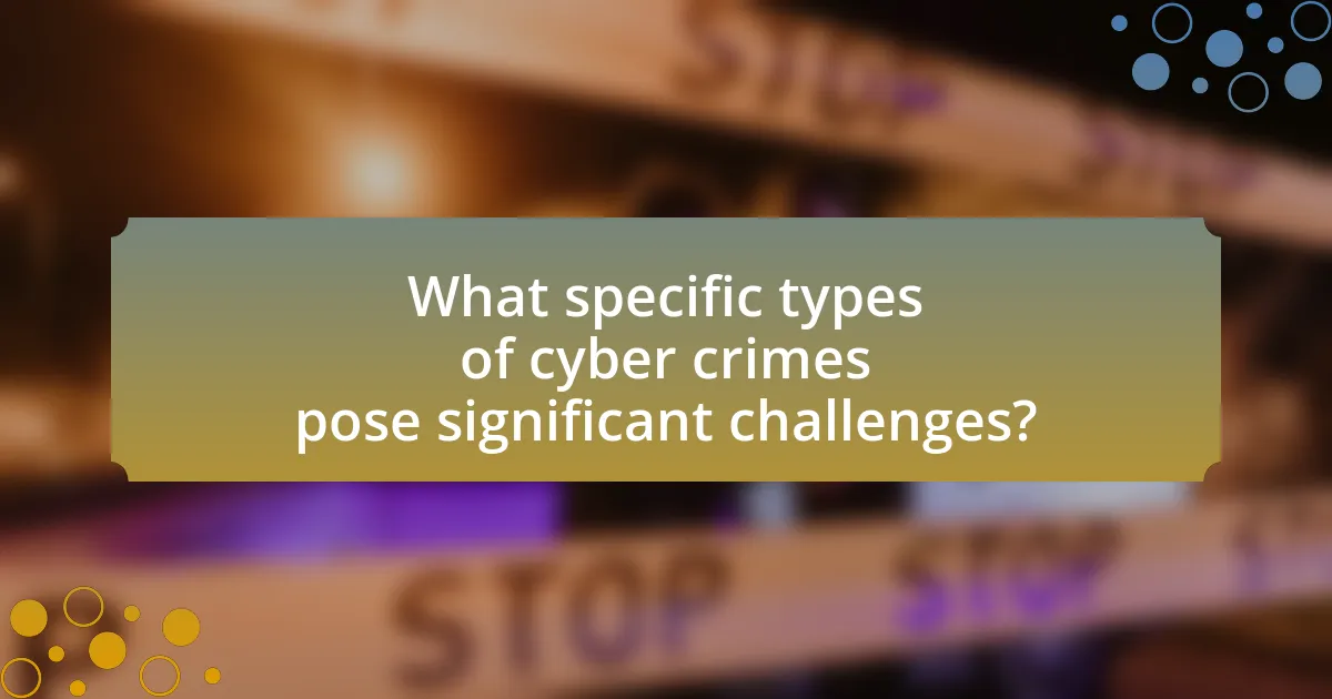 What specific types of cyber crimes pose significant challenges?